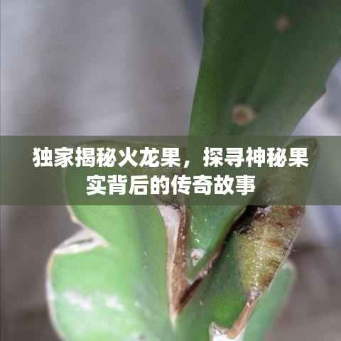 鸟语花香 第2页