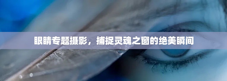 眼睛专题摄影，捕捉灵魂之窗的绝美瞬间