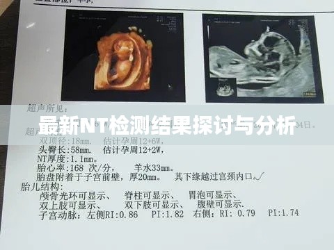 最新NT检测结果探讨与分析