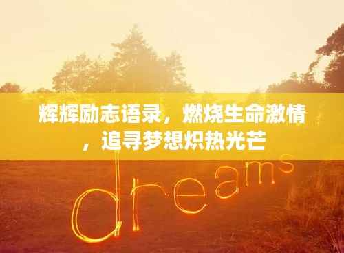 辉辉励志语录,燃烧生命激情,追寻梦想炽热光芒
