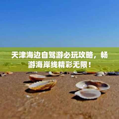 天津海边自驾游必玩攻略,畅游海岸线精彩无限!