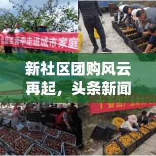 新社区团购风云再起,头条新闻抢先看