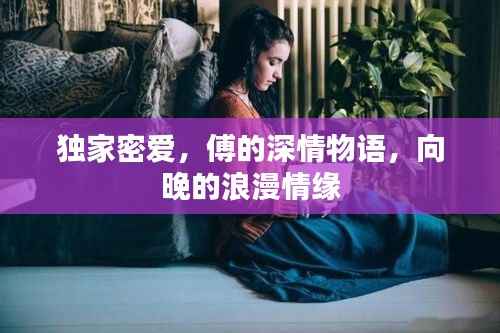 独家密爱,傅的深情物语,向晚的浪漫情缘