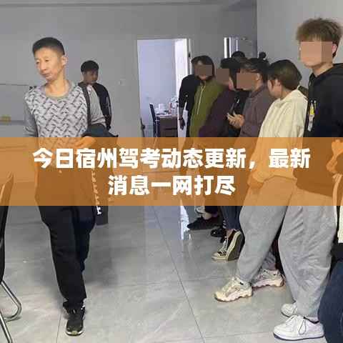 今日宿州驾考动态更新,最新消息一网打尽