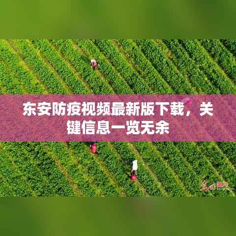 东安防疫视频最新版下载,关键信息一览无余