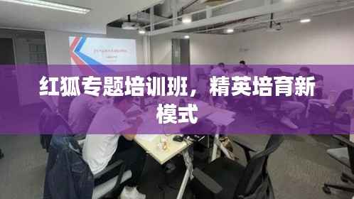 红狐专题培训班,精英培育新模式
