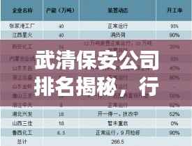 武清保安公司排名揭秘,行业深度分析与评估