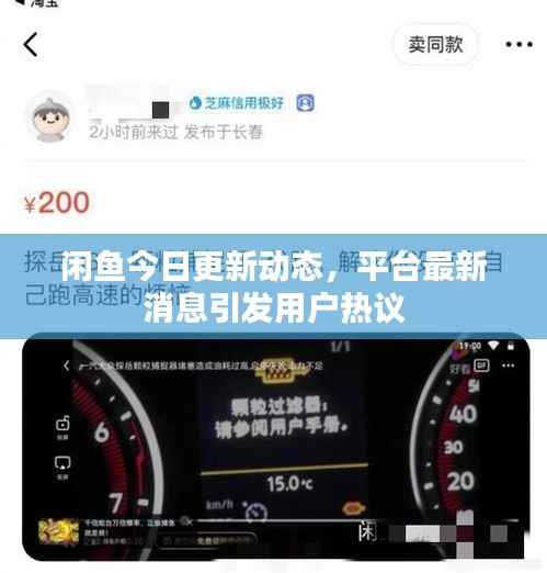 闲鱼今日更新动态,平台最新消息引发用户热议