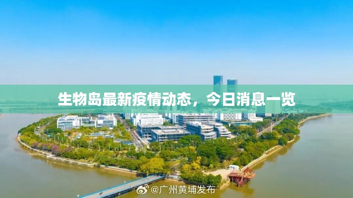 生物岛最新疫情动态,今日消息一览