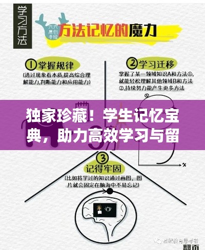 独家珍藏!学生记忆宝典,助力高效学习与留存美好回忆!