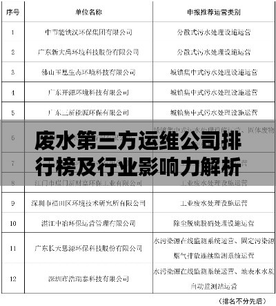 废水第三方运维公司排行榜及行业影响力解析