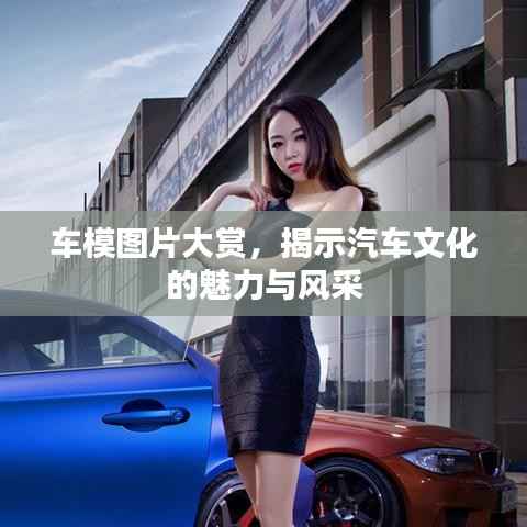 联系我们 第76页