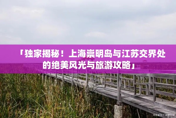 昙花一现 第2页