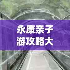 澹泊明志,宁静致远