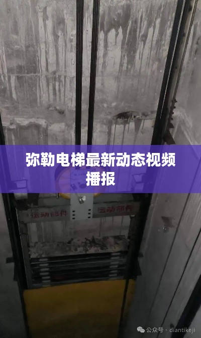 弥勒电梯最新动态视频播报