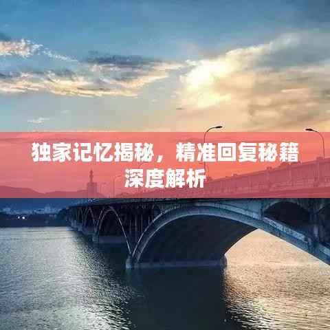 独家记忆揭秘，精准回复秘籍深度解析